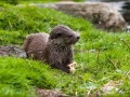 web_IMG_2-0091