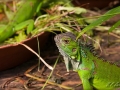 web_IMG_2-1302