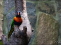 web_IMG_2-1313