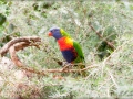 web_IMG_2-6962
