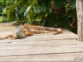 web_IMG_2-6998