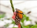 web_IMG_2-8770