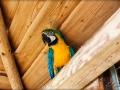 web_IMG_2-8780