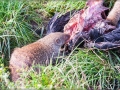 web_IMG_2-8907