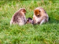 web_IMG_2-8926