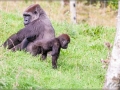 web_IMG_2-8987