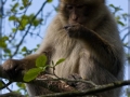 web_IMG_9700