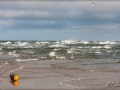 web_IMG_2-2667