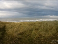 web_IMG_6877