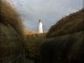 web_IMG_6883
