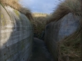 web_IMG_6887