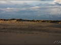 web_IMG_6978