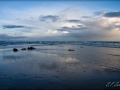 web_IMG_7158